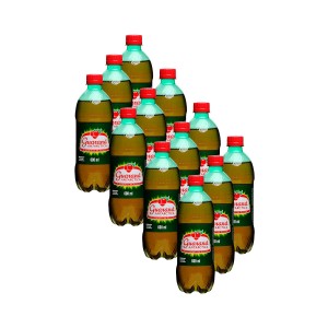 Refrigerante Guaraná Antarctica Pet 600ml Pack 12x1